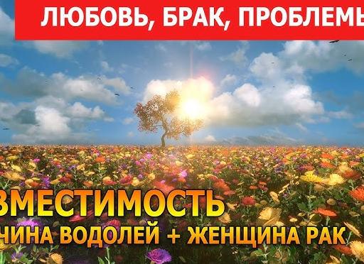 Совместимость женщина-Рак – мужчина-Водолей – МИНУСЫ