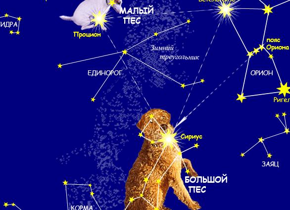 Большой и Малый пес