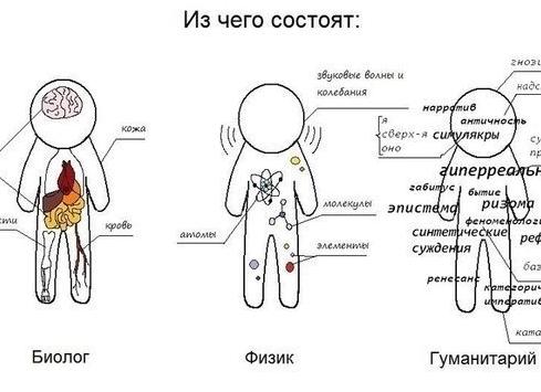 Из чего состоят