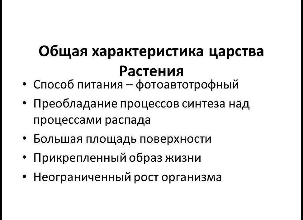 Общая характеристика