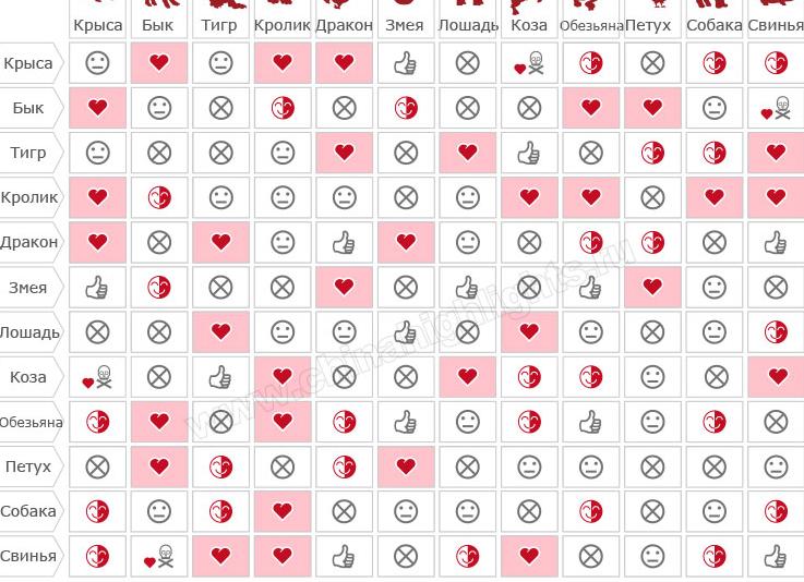 Китайский гороскоп — совместимость Дракона с другими знаками